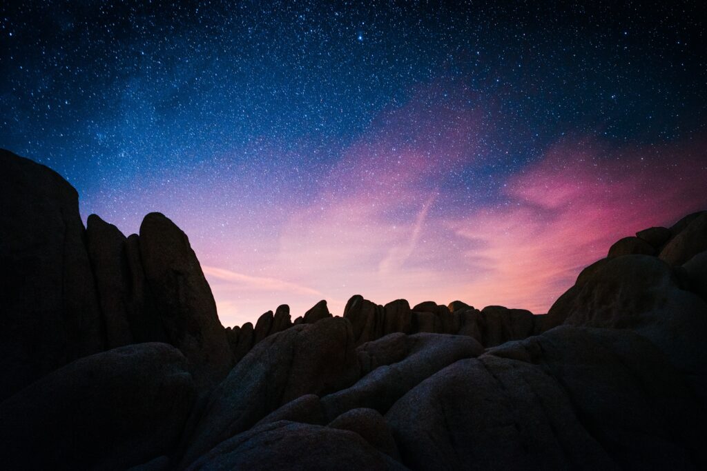 Procore: A Rising star in the Software Industry