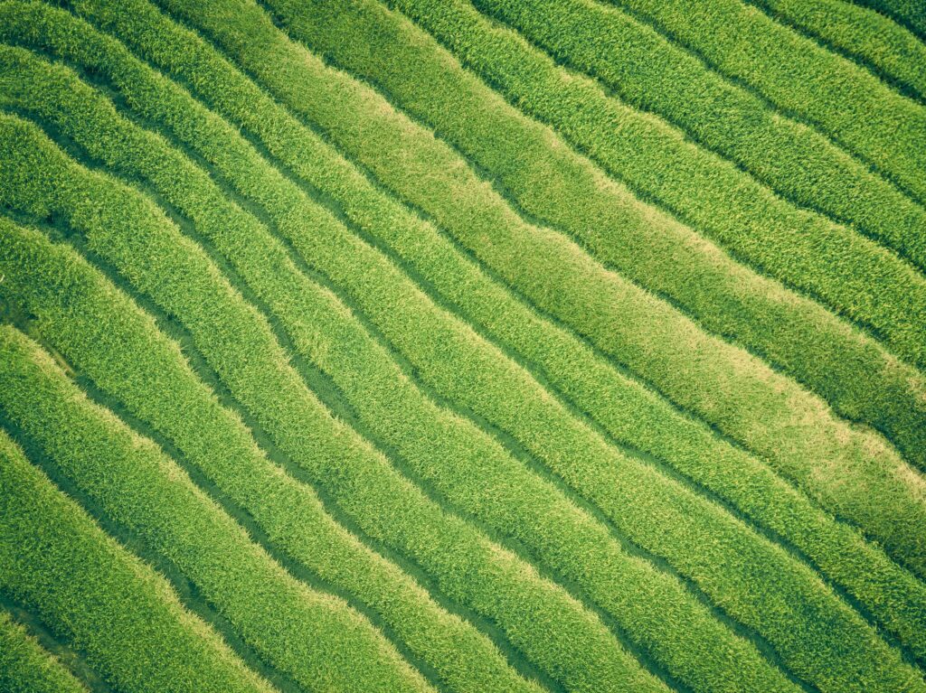 TechCrunch: The Latest Startup and Technology News