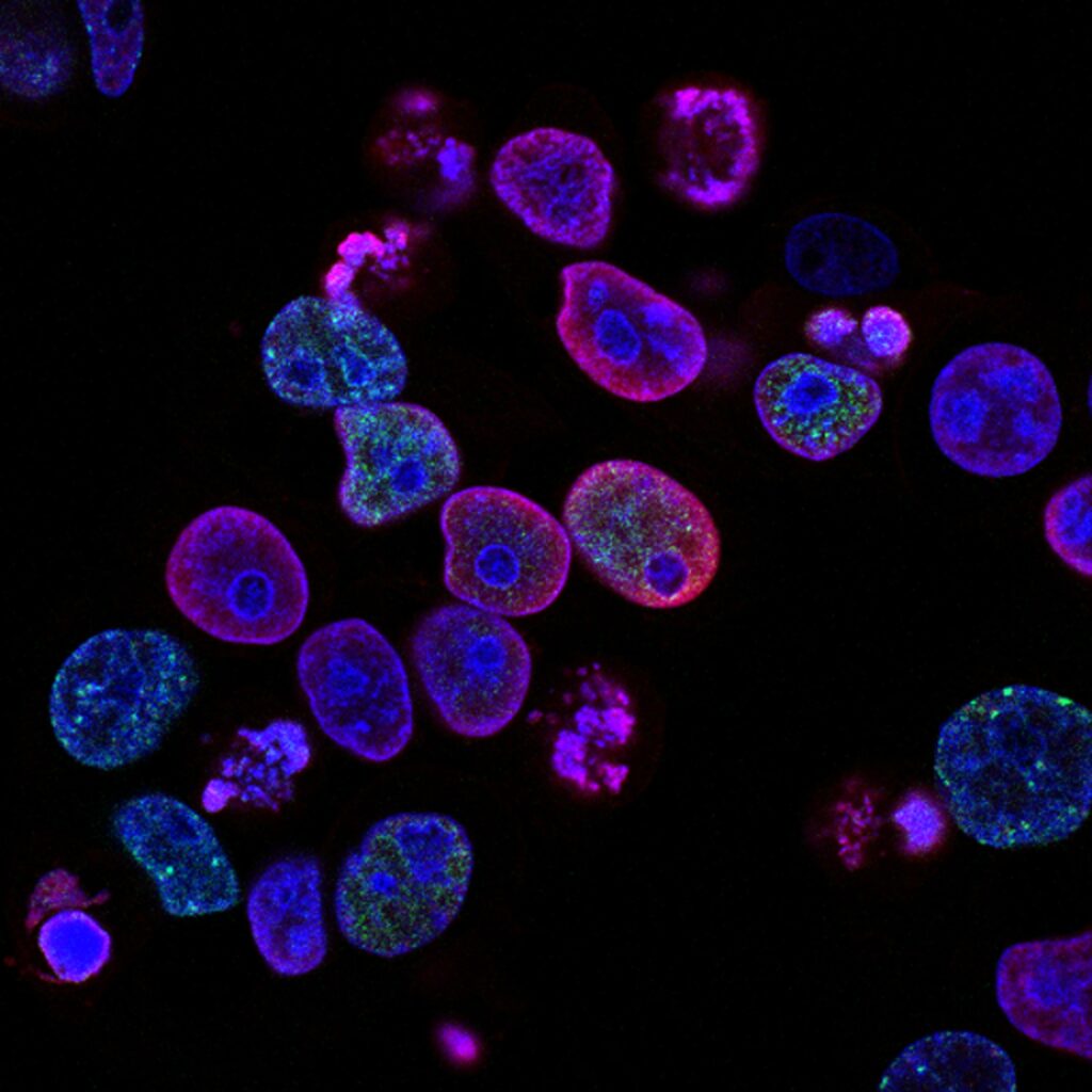 UK Science and Research: A Diginomica Exclusive