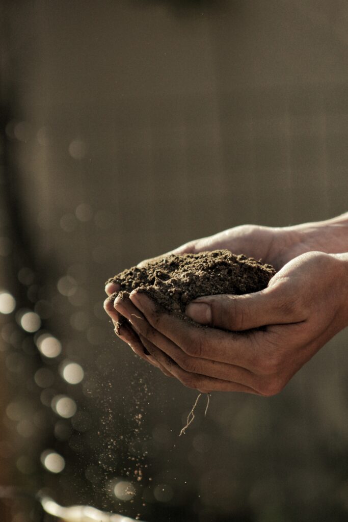 Global VC drought hits indoor farming unicorn Bowery with layoffs, steep valuation markdown