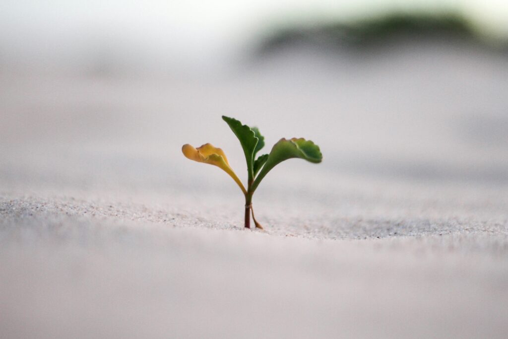 Unlocking the Potential of Instagram Sites for Profit